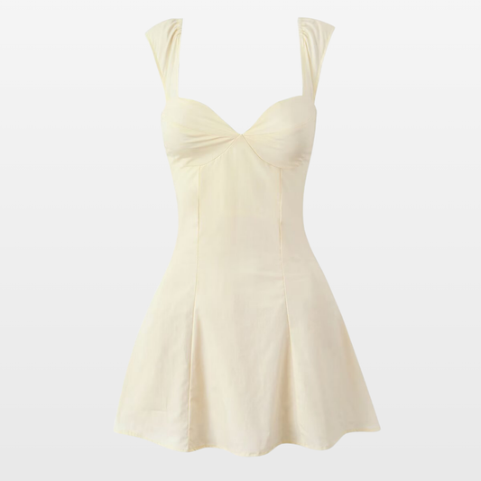 Corset-Style Fit and Flare Mini Dress